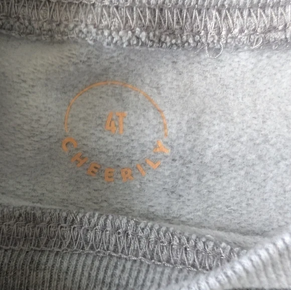 Cheerily Kids Grey Crewneck Dim Sum Dumpling Sweatshirt Playful Graphic Sz 4T - Picture 4 of 8